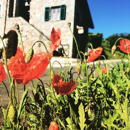 Agriturismo Angio Nel Cere Bracelli Exteriör bild