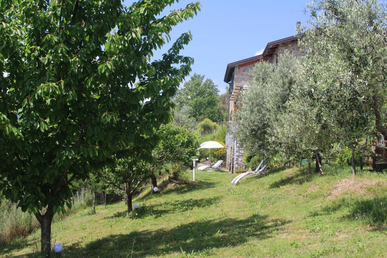 Agriturismo Angio Nel Cere Bracelli Exteriör bild