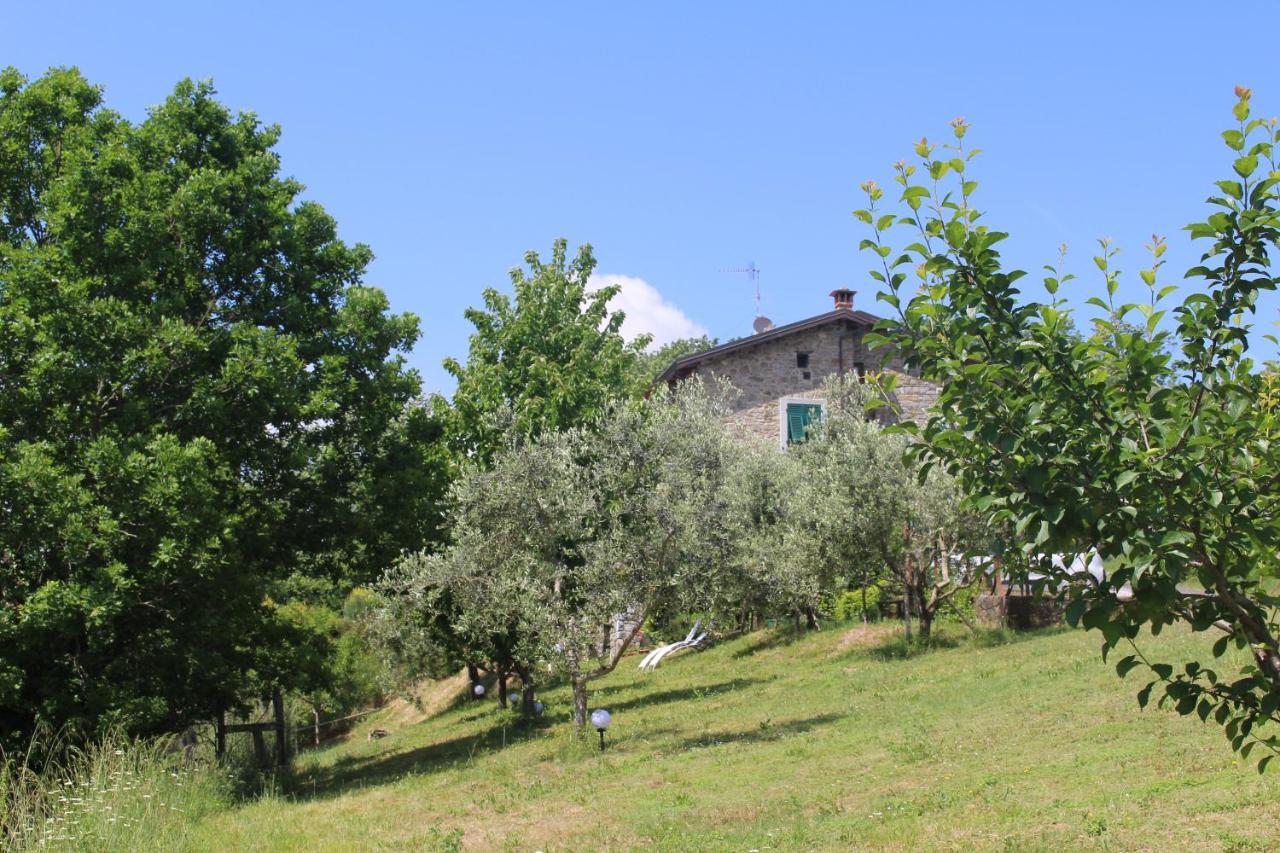 Agriturismo Angio Nel Cere Bracelli Exteriör bild