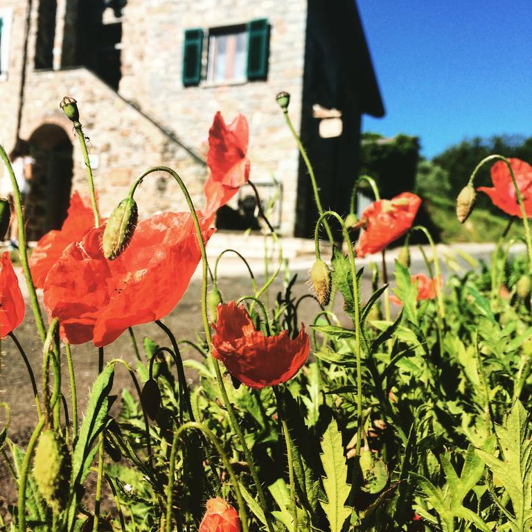Agriturismo Angio Nel Cere Bracelli Exteriör bild