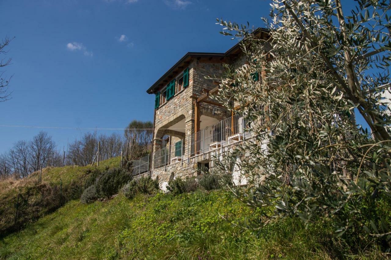 Agriturismo Angio Nel Cere Bracelli Exteriör bild