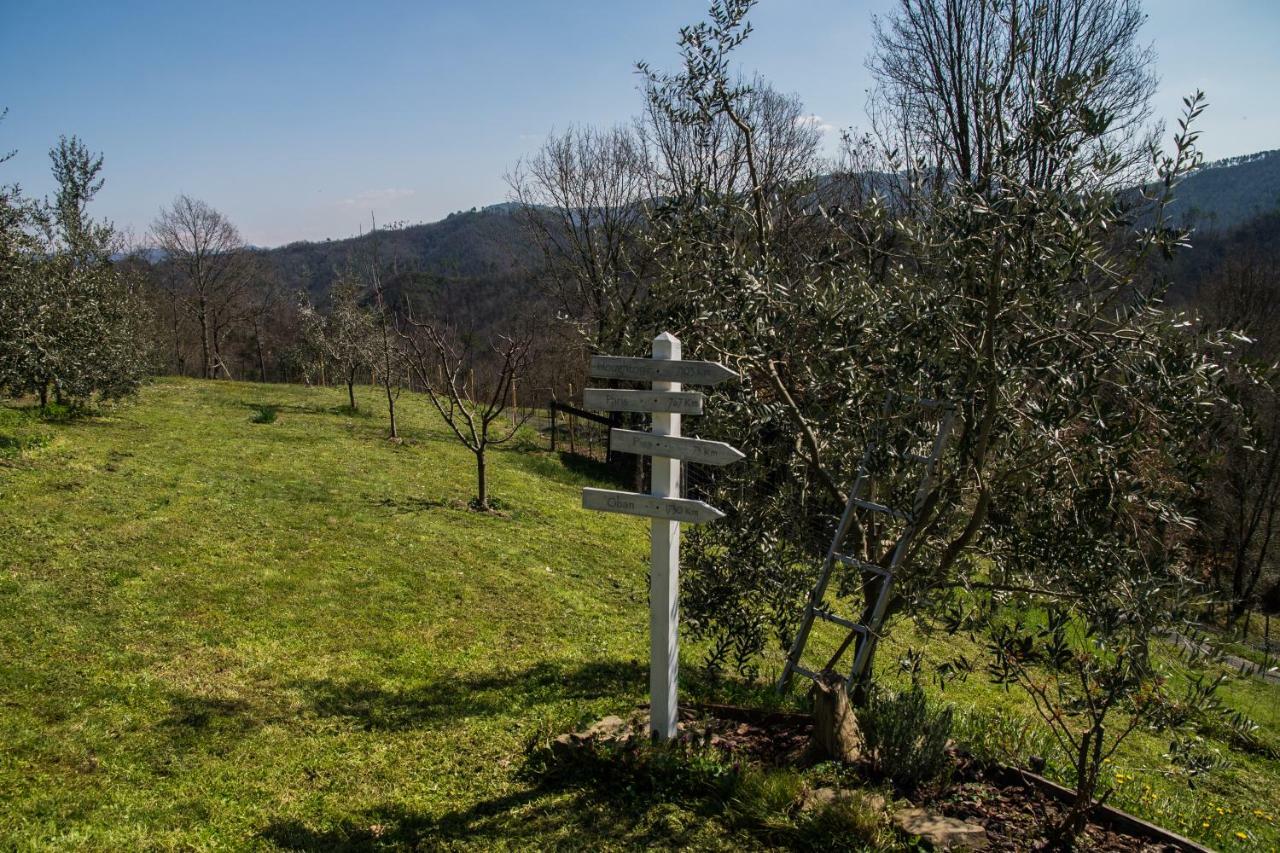 Agriturismo Angio Nel Cere Bracelli Exteriör bild